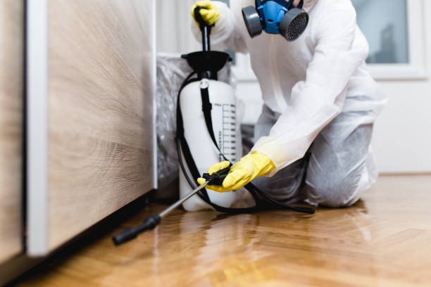 Best Best Pest Control Companies  in Buhler, KS