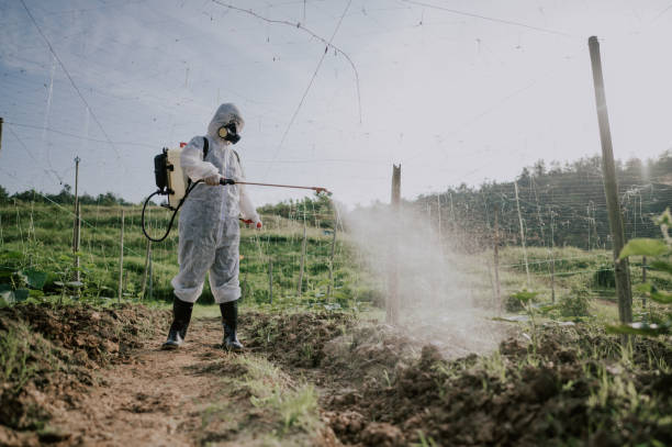 Best Mosquito Control Services  in Buhler, KS