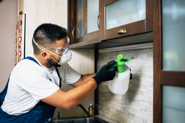 Best Termite Control Services  in Buhler, KS