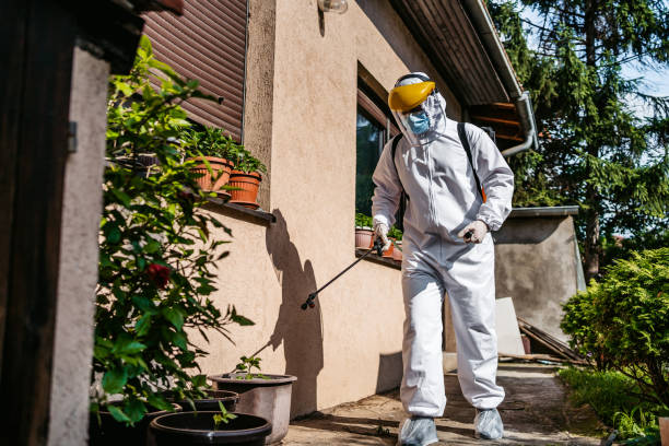 Best Affordable Pest Control Services  in Buhler, KS