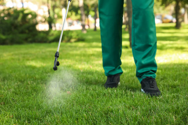 Best Flea Control Services  in Buhler, KS