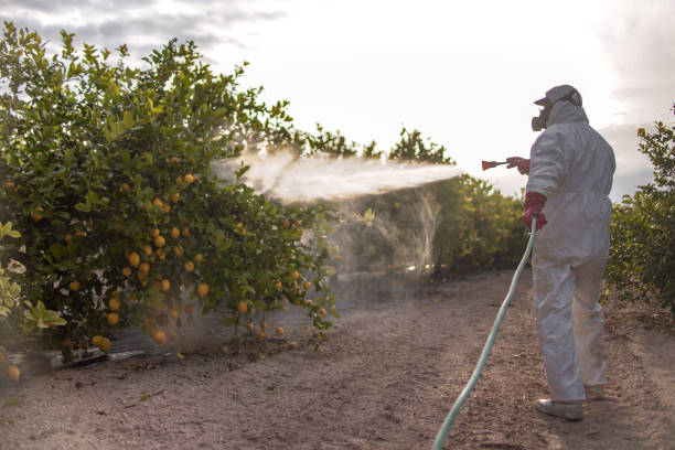 Best Best Pest Control Companies  in Buhler, KS