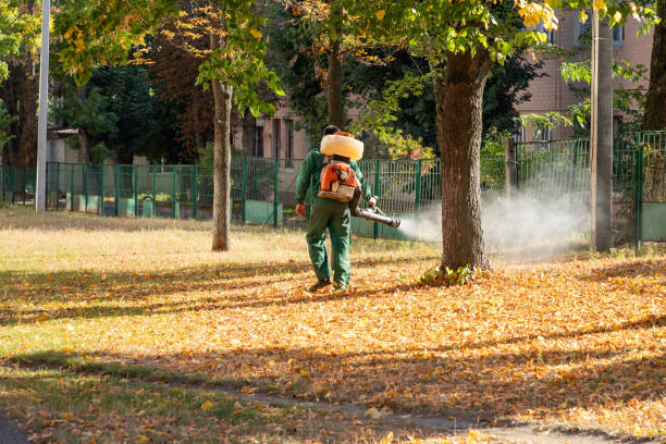 Best Pest Inspection Near Me  in Buhler, KS